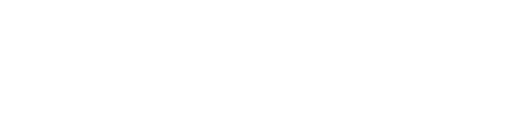 Punto Guía